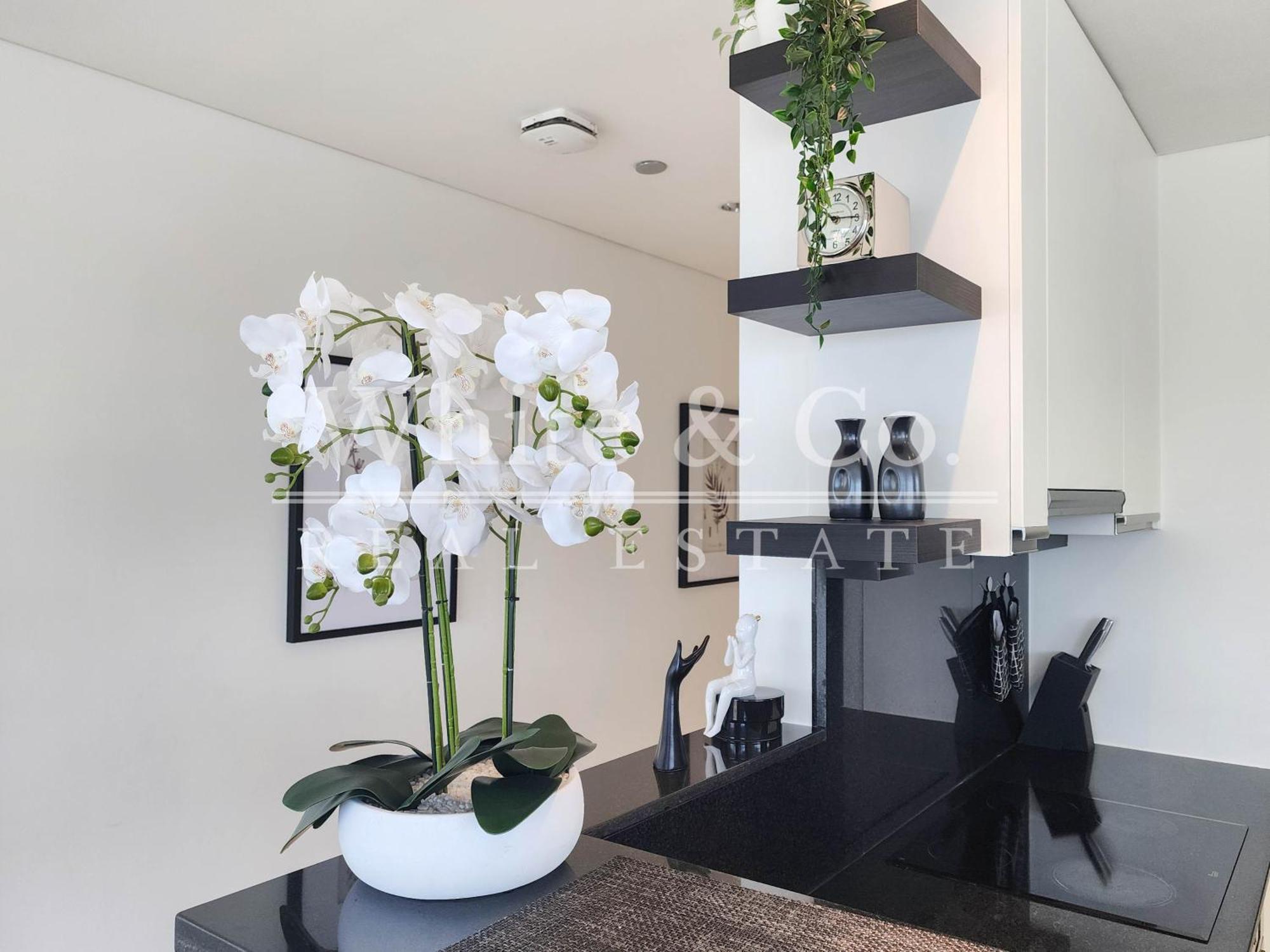 Apartment 2 Bedroom In The Address Marina Mall W Marina Eye View Dubai